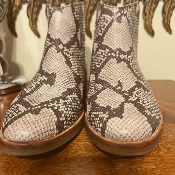 Dolce Vita Shoes - Dolce Vita Faux Snakeskin ankle boots